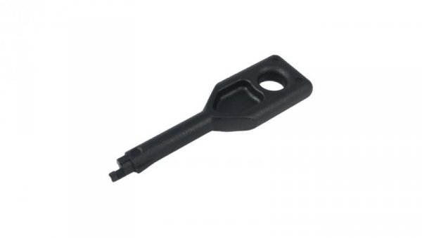 Klucz do blokady gniazda RJ45 WT-BGK