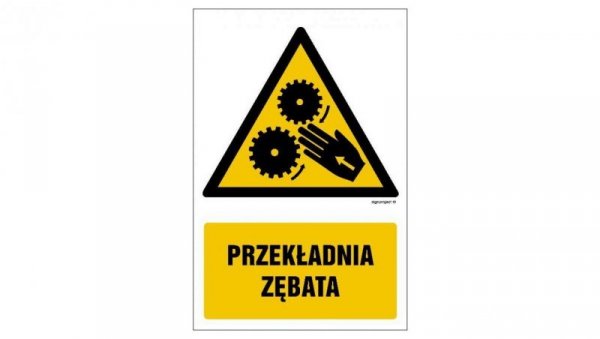 ZNAK - GF069 Przekładnia zębata 10 x 15 cm PN - Płyta 1mm