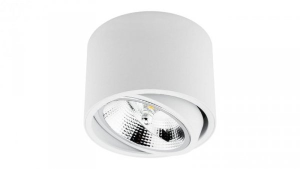Oprawa Natynkowa Halogenowa SPOT TUBA Ruchoma GU10 AR111 Okrągła Biała 100mm TELES LUMILED