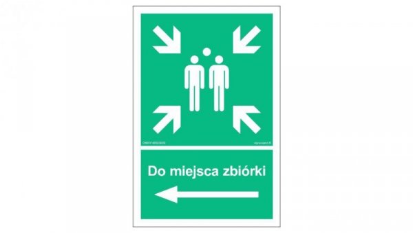 ZNAK - AC041 Do miejsca zbiórki w lewo 70 x 105 cm TS - Płyta TD foto.