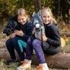Hobby Horse Skippi - koń na kiju - Szary