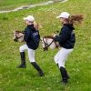 Hobby Horse Skippi - koń na kiju - Karmel
