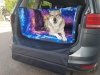 Mata samochodowa dla Psa do bagażnika  Prosto z Kosmosu (realizacja VW Caddy Maxi)