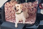 Mata samochodowa dla Psa do bagażnika Jesień Idzie (realizacja Mazda CX5) 