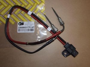 226585317R  Original  Neu Autoteile  Original 
