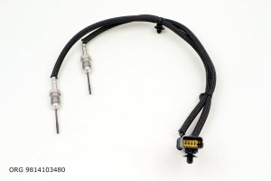 Original TEMPERATURSENSOR AUSPUFF Citroen Peugeot 2.0-2.2 BLUEHDI , 9814103480