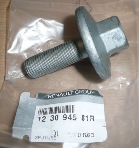 Original Schraube für Kurbelwellenriemenscheibe Renault  1.2 TCE , 123094581R