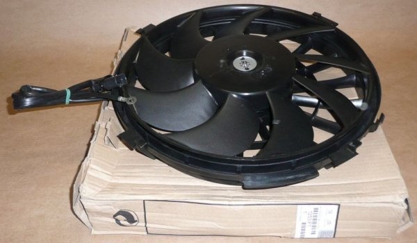Original 1253F1