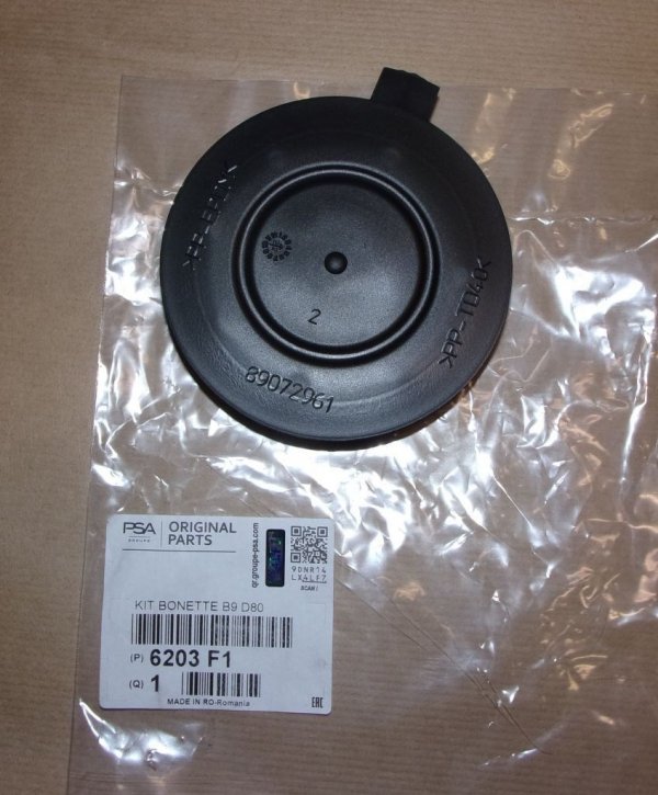 ORIGINAL Abdeckkappe Hauptscheinwerfer Citroen Berlingo Peugeot Partner 6203F1