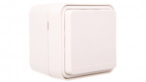 Berker W.1 Gniazdo pojedyncze z/u kompletne IP55 biały 6768813512