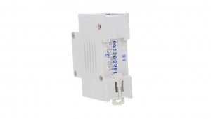 Wyłącznik modułowy LS Electric BKH 1P 100A charakterystyka D 06110335R0 BKH 1P D100A
