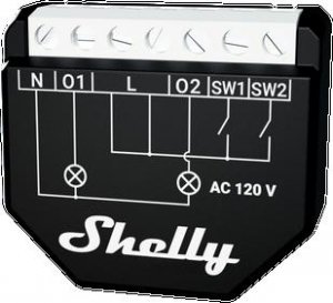 Shelly Qubino Wave 2PM