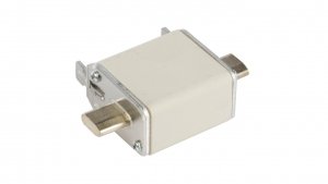 Wkładka bezpiecznikowa NH00 125A gF 500V WT-00 004114340
