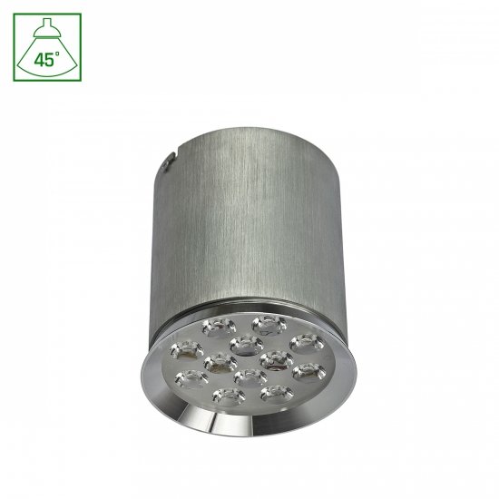 CHLOE 12LED 230V 12W IP20 45st WW SUFITOWE !!