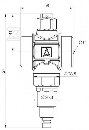 ZAWÓR ANTYZAMROŻENIOWY AAV 100, G1