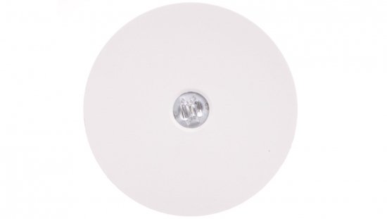 Oprawa awaryjna AXN IP65 ECO LED 3W 315lm (opt. koryt.) 1h jednozadaniowa biała AXNC/3W/E/1/SE/X/WH