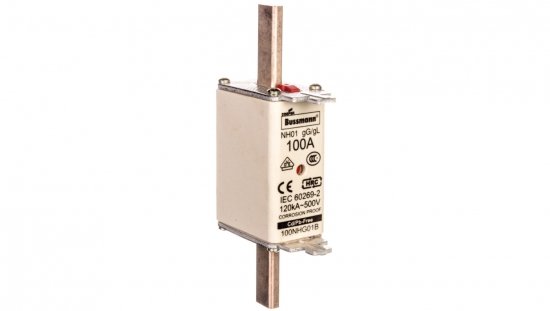 Wkładka bezpiecznikowa NH1 100A gL/gG 500V 100NHG01B