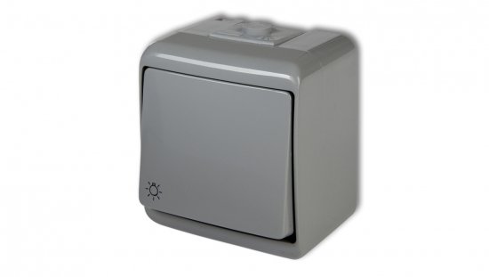 JUNIOR Przycisk /światło/ popielaty IP54 10WHE-5