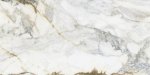 Pamesa Pisa Gold Mat 60x120