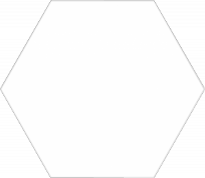 Codicer Basic White Hex 22x25