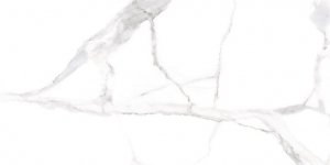 Ecoceramic Alsacia Blanco 60x120