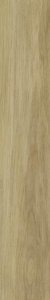 Paradyż Specialwood Gold 19,8x119,8