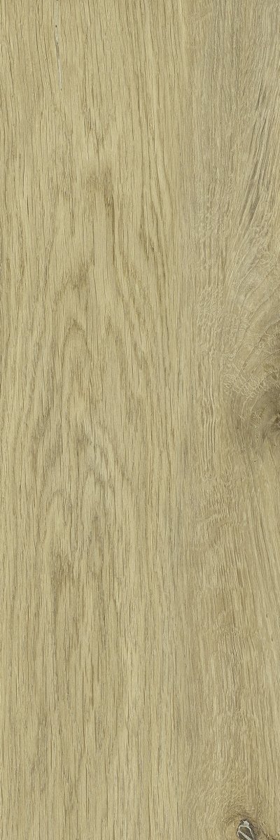 Paradyż Decorwood Crema 20x60