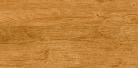 ATEM Carvalho Gold 20x60