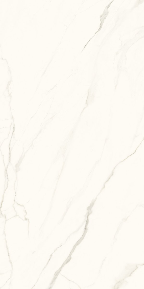 Paradyż Calacatta Mat 119,8x279,8