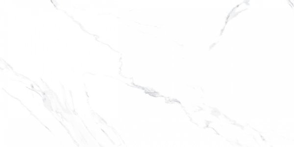 Carrara Blanco Carving 60X120