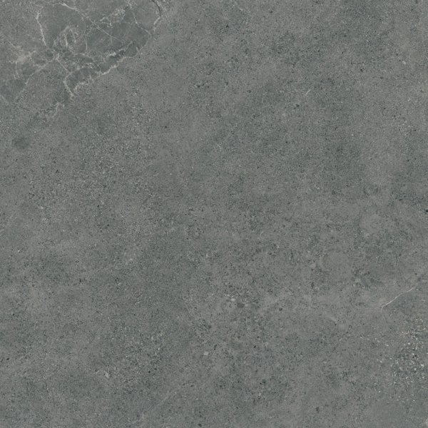 Paradyż Authority Graphite 119,8x119,8