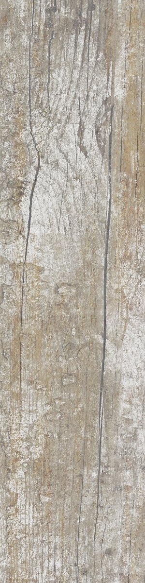 Ceramika Color Modern Wood Color 15,5x62