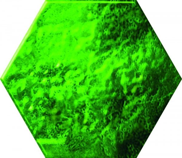 Ceramika Color Green Glass Hexagon 12,5x14,5