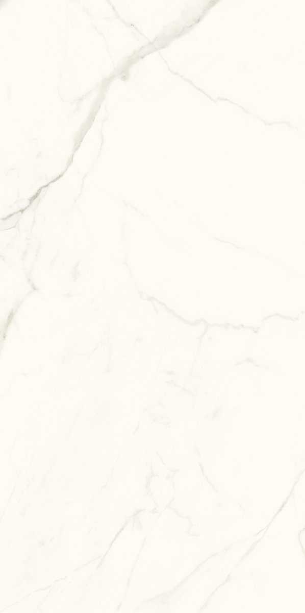 Paradyż Calacatta Mat 59,8x119,8