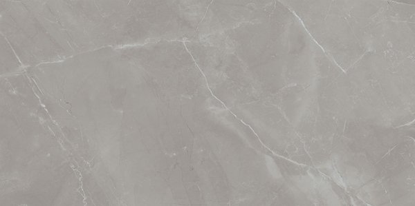 Tubądzin Grey Pulpis POL 119,8x59,8