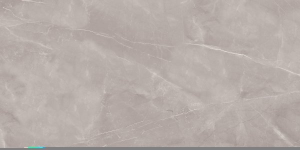 Armani Silver Poler 60x120