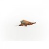 Schleich Figurka Legwan Wild Life