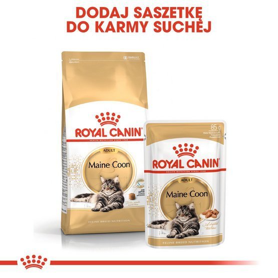 Royal Canin Maine Coon Adult karma sucha dla kotów dorosłych rasy maine coon 2kg