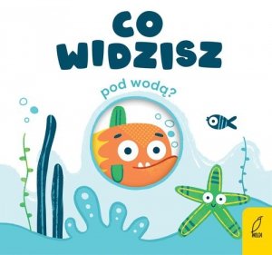 Co widzisz pod wodą?