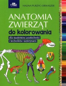 Anatomia zwierząt do kolorowania 