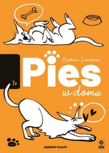 Pies w domu