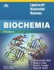 Lippincott Illustrated Reviews Biochemia 