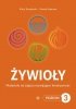 Żywioły Poziom 3 