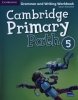 Cambridge Primary Path 5 Grammar and Writing Workbook 