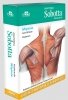 Anatomia Sobotta Flashcards Mięśnie 
