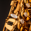 Saksofon altowy Henri Selmer Paris Signature silver plated
