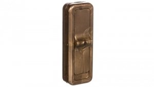 Wyłącznik przelotowy 2,5A/250V złoty WSR-940-ZLO YNS10000423