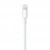 Lightning to USB Cable (0.5 m)