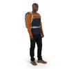 Plecak turystyczny OSPREY Hikelite 26 Pine Leaf Green
