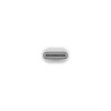 Jabłko | Przejściówka z USB-C na Lightning | Złącze USB-C | Adapter